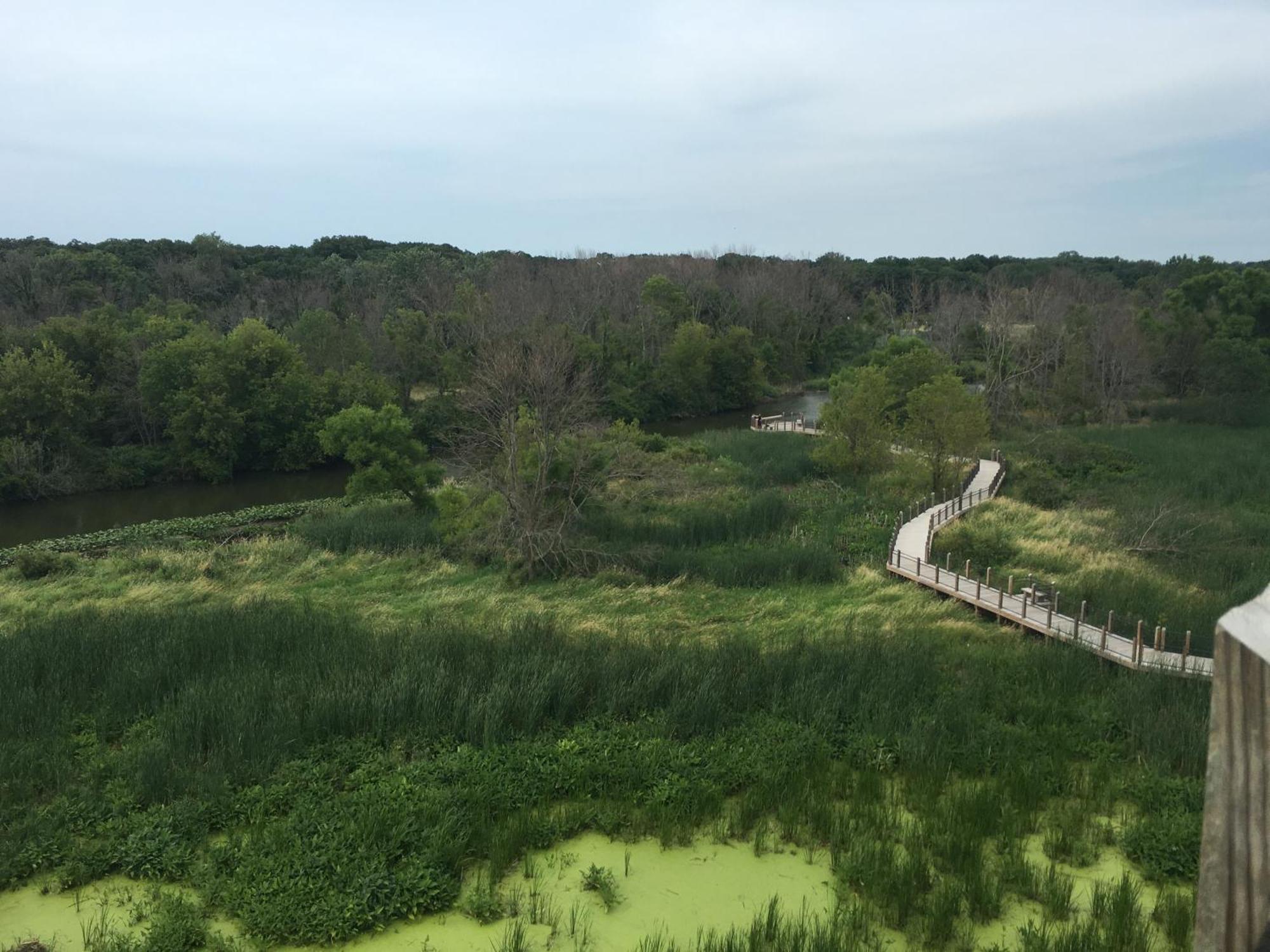 Goldberry Woods- A Modern Farm Resort Union Pier Εξωτερικό φωτογραφία